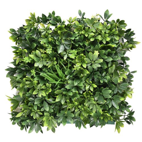 Aralia Kunststoff grün Wand 50x50 cm