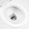 Cleano Monoblock WC mit Rückspülung und Sitz
