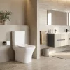 Nile Monoblock Kompakttoilette mit Softclose-Sitz und Rückspülung