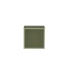 Boxie offener Wandschrank 40x40x37 cm grün