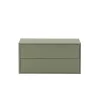 Boxie Wandschrank mit 2 Schubladen 40x80x37 cm grün