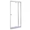 Flexi verstellbare Duschtür 86-101x185 cm