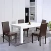 Leon 4+1 Esstisch-Set weiß-braun
