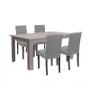 Leon 4+1 esstisch set york eiche grau