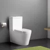 Paulo spülrandlose Toilettenkombination mit Boden-/Rückspülung und weich schließendem Sitz
