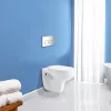 Roya 82CHR Unterputz-WC-Tankanlage