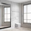 Roya Tina 21W Unterputz-WC-Tankanlage