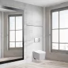Roya Tina 82CHR Unterputz-WC-Tankanlage