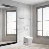 Roya Tina 82W Unterputz-WC-Tankanlage