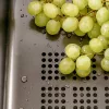 Abtropfkorb für Spülbecken