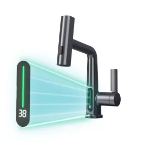 Mara Multifunktions-Spültischbatterie mit Digitalanzeige