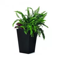 Curver Blumenhalter